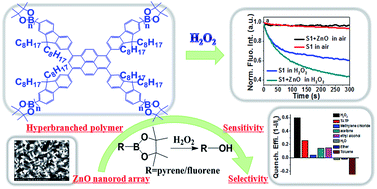 Graphical abstract: Borate ester endcapped fluorescent hyperbranched conjugated polymer for trace peroxide explosive vapor detection