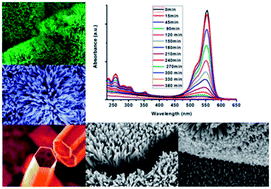Graphical abstract: Superhydrophobic polymethylsilsesquioxane pinned one dimensional ZnO nanostructures for water remediation through photo-catalysis