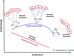 Graphical abstract: Effect of temperature on the surface free energy and acid–base properties of Gabapentin and Pregabalin drugs − a comparative study