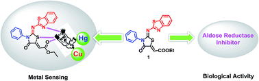 Graphical abstract: Highly selective fluorimetric sensor for Cu2+ and Hg2+ using a benzothiazole-based receptor in semi-aqueous media and molecular docking studies