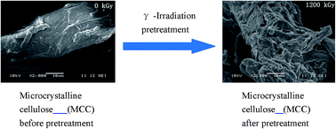 Graphical abstract: Insights into the effects of γ-irradiation on the microstructure, thermal stability and irradiation-derived degradation components of microcrystalline cellulose (MCC)