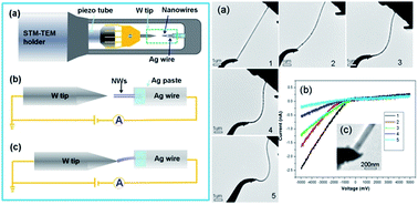Graphical abstract: Understanding the opposite electrical responses of an individual ZnO nanowire under different bending deformations