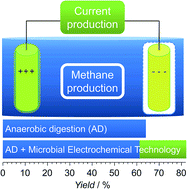 Graphical abstract: Coupling electric energy and biogas production in anaerobic digesters – impacts on the microbiome