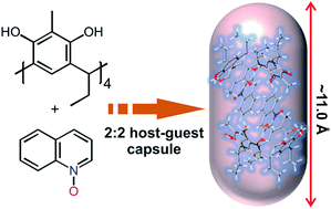 Graphical abstract: Aromatic N-oxide templates open inclusion and dimeric capsular assemblies with methylresorcinarene
