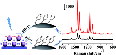 Graphical abstract: Effect of adsorbed molecules on surface-enhanced Raman scattering of metal/molecule/metal junctions