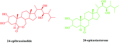 Graphical abstract: Labelling of brassinosteroids by isotopes of hydrogen and carbon