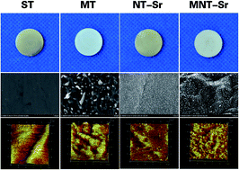 Graphical abstract: Effect of a hierarchical hybrid micro/nanorough strontium-loaded surface on osseointegration in osteoporosis