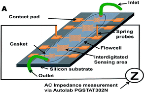 Graphical abstract: A generic microfluidic biosensor of G protein-coupled receptor activation – impedance measurements of reversible morphological changes of reverse transfected HEK293 cells on microelectrodes