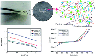 Graphical abstract: Fabrication and properties of polybutadiene rubber-interpenetrating cross-linking poly(propylene carbonate) network as gel polymer electrolytes for lithium-ion battery