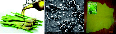 Graphical abstract: Development of smart leathers: incorporating scent through infusion of encapsulated lemongrass oil