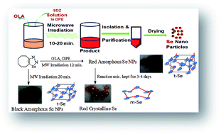 Graphical abstract: Impact of microwave irradiation on cyclo-octeno-1,2,3-selenadiazole: formation of selenium nanoparticles and their polymorphs