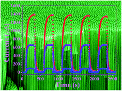 Graphical abstract: Efficient ultraviolet photodetectors based on TiO2 nanotube arrays with tailored structures