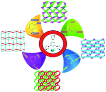 Graphical abstract: Functional group effects on structure and topology of cadmium(ii) frameworks with mixed organic ligands