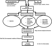 Graphical abstract: Essential oil encapsulations: uses, procedures, and trends