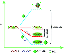 Graphical abstract: Dual amplifying fluorescence anisotropy for detection of respiratory syncytial virus DNA fragments with size-control synthesized metal–organic framework MIL-101