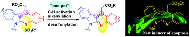 Graphical abstract: A Pd(ii)-catalyzed C–H activation approach to densely functionalized N-heteroaromatics related to neocryptolepine and their evaluation as potential inducers of apoptosis