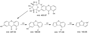 Graphical abstract: Identification and characterization of the Indian Yellow dyestuff and its degradation products in historical oil paint tube by liquid chromatography mass spectrometry