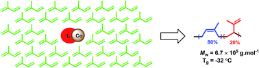 Graphical abstract: The behaviour of β-triketimine cobalt complexes in the polymerization of isoprene