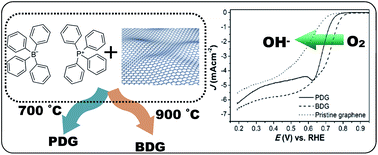 Graphical abstract: Boron and phosphorous-doped graphene as a metal-free electrocatalyst for the oxygen reduction reaction in alkaline medium