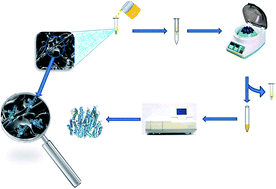 Graphical abstract: Molecularly imprinted cryogel cartridges for the specific filtration and rapid separation of interferon alpha