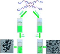 Graphical abstract: Self-assembled core–shell nanospheres and dendritic nanostructure of novel tetra-(3-phenyprop-2-allyloxy) phthalocyanine in different solvents