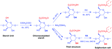 Graphical abstract: A green and highly efficient sulfur functionalization of starch