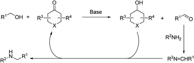 Graphical abstract: A conjugated ketone as a catalyst in alcohol amination reactions under transition-metal and hetero-atom free conditions