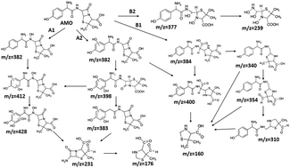 Graphical abstract: Enhanced amoxicillin treatment using the electro-peroxone process: key factors and degradation mechanism