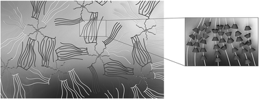 Graphical abstract: A thixotropic polyglycerol sebacate-based supramolecular hydrogel showing UCST behavior