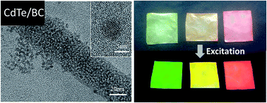 Graphical abstract: Color-tunable luminescent CdTe quantum dot membranes based on bacterial cellulose (BC) and application in ion detection