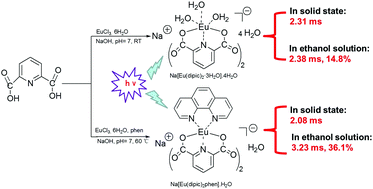 Graphical abstract: Pyridine-2,6-dicarboxylic acid for the sensitization of europium(iii) luminescence with very long lifetimes