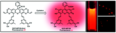Graphical abstract: A turn-on and colorimetric metal-free long lifetime fluorescent probe and its application for time-resolved luminescent detection and bioimaging of cysteine