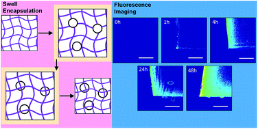 Graphical abstract: Advanced analysis of nanoparticle composites – a means toward increasing the efficiency of functional materials