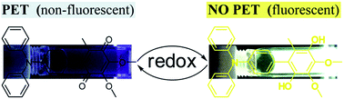 Graphical abstract: New insight into photo-induced electron transfer with a simple ubiquinone-based triphenylamine model