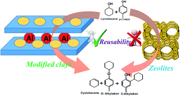 Graphical abstract: Re-usability of zeolites and modified clays for alkylation of cyclohexanol a contrast study