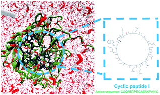 Graphical abstract: Molecular basis of R294K mutation effects of H7N9 neuraminidases with drugs and cyclic peptides: an in silico and experimental study