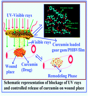 Graphical abstract: Characterization and evaluation of curcumin loaded guar gum/polyhydroxyalkanoates blend films for wound healing applications