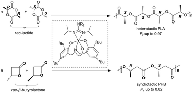 Graphical abstract: Synthesis and characterization of rare-earth metal guanidinates stabilized by amine-bridged bis(phenolate) ligands and their application in the controlled polymerization of rac-lactide and rac-β-butyrolactone
