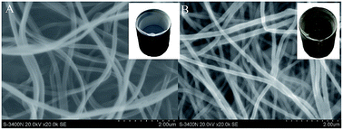 Graphical abstract: A brand-new catalytic system: a Pd-based catalyst directly attached on the inner walls of the reactor which independently catalyzed the Heck reaction