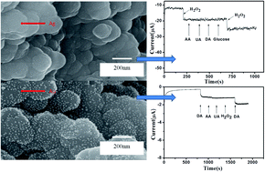 Graphical abstract: Fabrication of polypyrrole nanoplates decorated with silver and gold nanoparticles for sensor applications