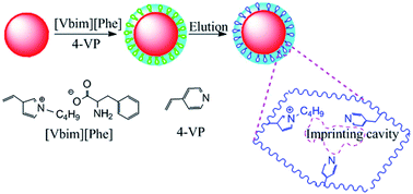 Graphical abstract: Preparation of molecularly imprinted polymers using ion-pair dummy template imprinting and polymerizable ionic liquids