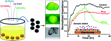 Graphical abstract: Synthesis of hollow mesoporous ruthenium nanoparticles: evaluation of physico-chemical properties and toxicity
