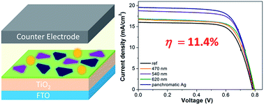 Graphical abstract: Panchromatic quasi-monolayer of Ag nanoparticles for high-efficiency dye-sensitized solar cells