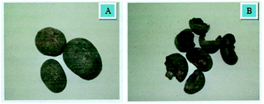 Graphical abstract: Gold nanoparticle catalyzed intramolecular C–S bond formation/C–H bond functionalization/cyclization cascades