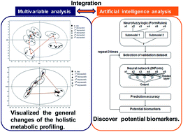 Graphical abstract: Urinary metabolomics study on an induced-stress rat model using UPLC-QTOF/MS