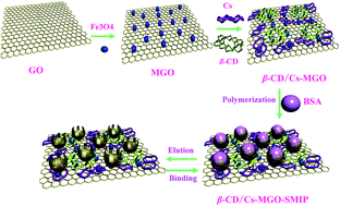 Graphical abstract: β-Cyclodextrin/chitosan–magnetic graphene oxide–surface molecularly imprinted polymer nanocomplex coupled with chemiluminescence biosensing of bovine serum albumin