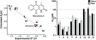 Graphical abstract: Investigation on the electrochemistry and cytotoxicity of the natural product marcanine A and its synthetic derivatives