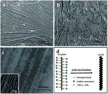 Graphical abstract: Micro/nanostructures of PANI obtained in the presence of water soluble polymers and their electrochemical sensing properties