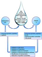 Graphical abstract: Potential antiviral activities of camel, bovine, and human lactoperoxidases against hepatitis C virus genotype 4