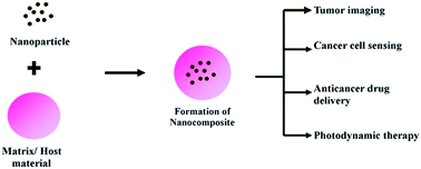 Graphical abstract: Overview on in vitro and in vivo investigations of nanocomposite based cancer diagnosis and therapeutics